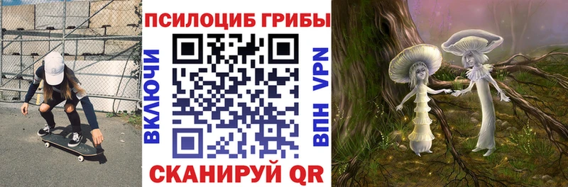 купить наркотик  Чаплыгин  Псилоцибиновые грибы прущие грибы 